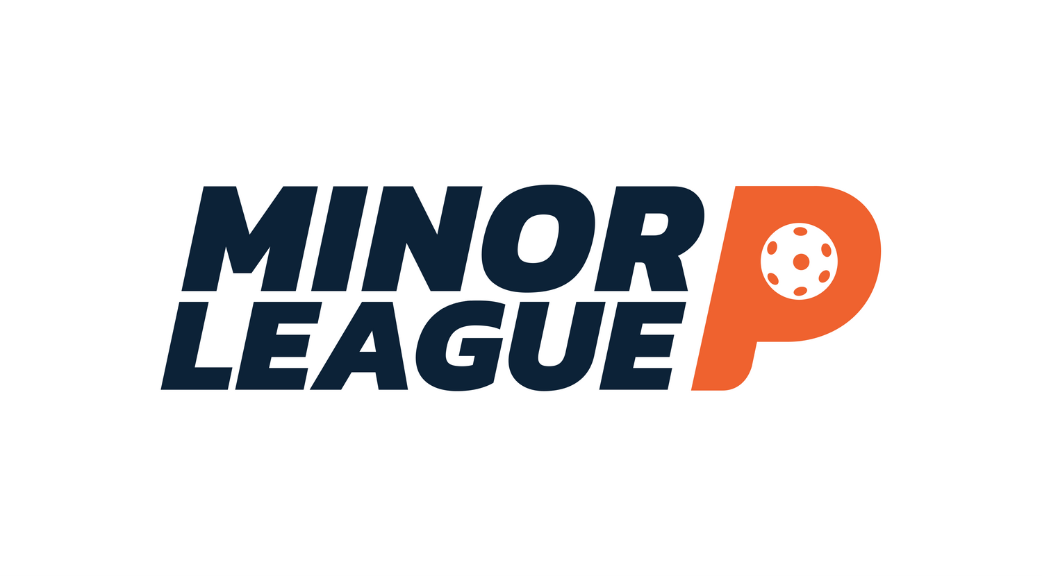 Everything You Need to Know About Minor League Pickleball: A Deep Dive
